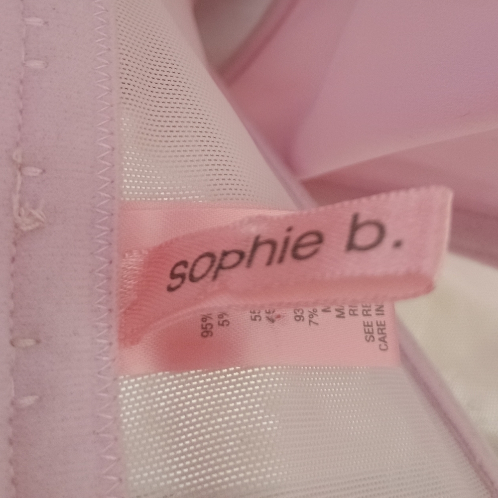 Sophie B. Elegant Pink Lace-Embroidered Corset Top - Picture 4 of 5